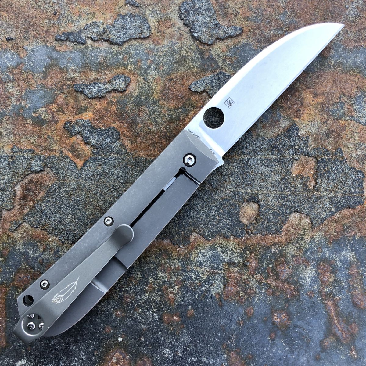 Spyderco Swayback Titanium Gray Scales Satin CTS-XHP Blade
